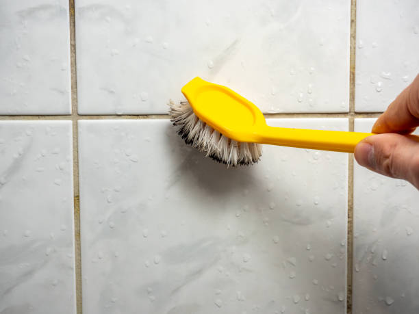 Best Commercial Mold Removal  in Moweaqua, IL