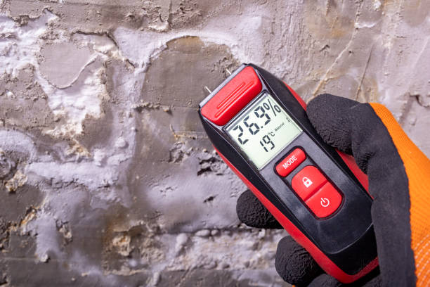 Moweaqua, IL Mold Removal Company