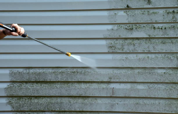 Best Attic Mold Removal  in Moweaqua, IL