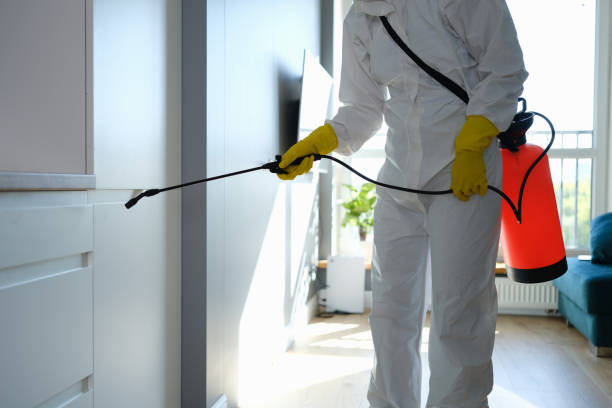 Best Toxic Mold Removal  in Moweaqua, IL