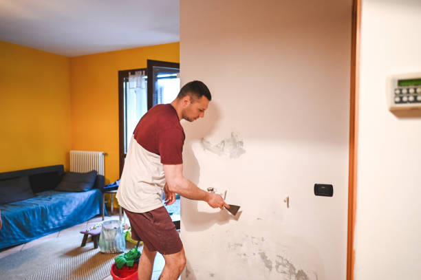 Best Mold Remediation  in Moweaqua, IL
